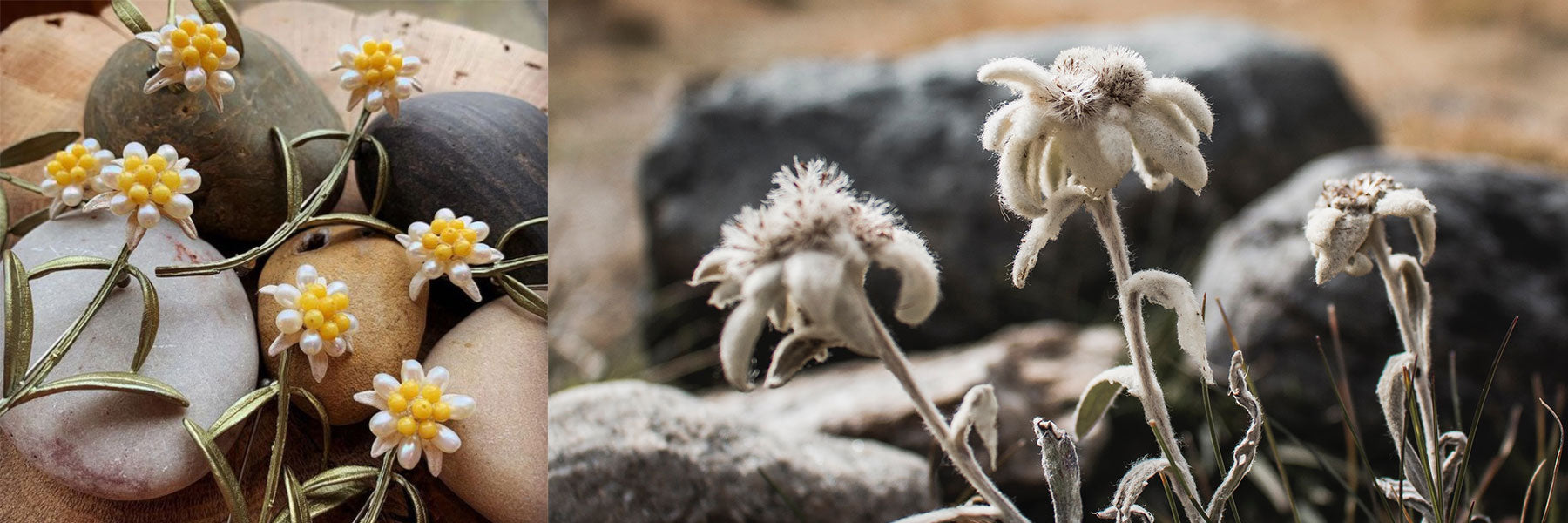 Edelweiss Schmuck mit Perlen