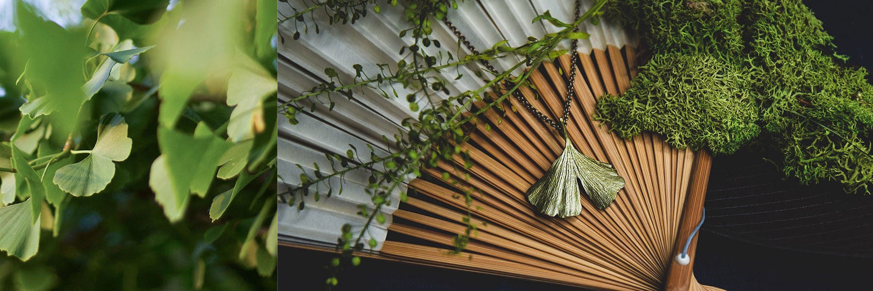 Ginkgo Schmuck