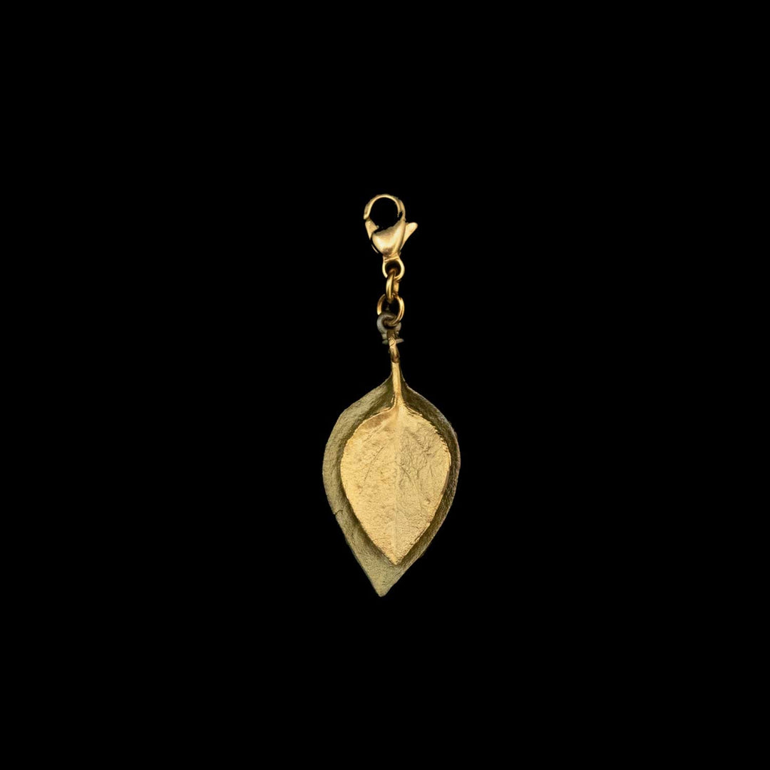 Basilikum Charm
