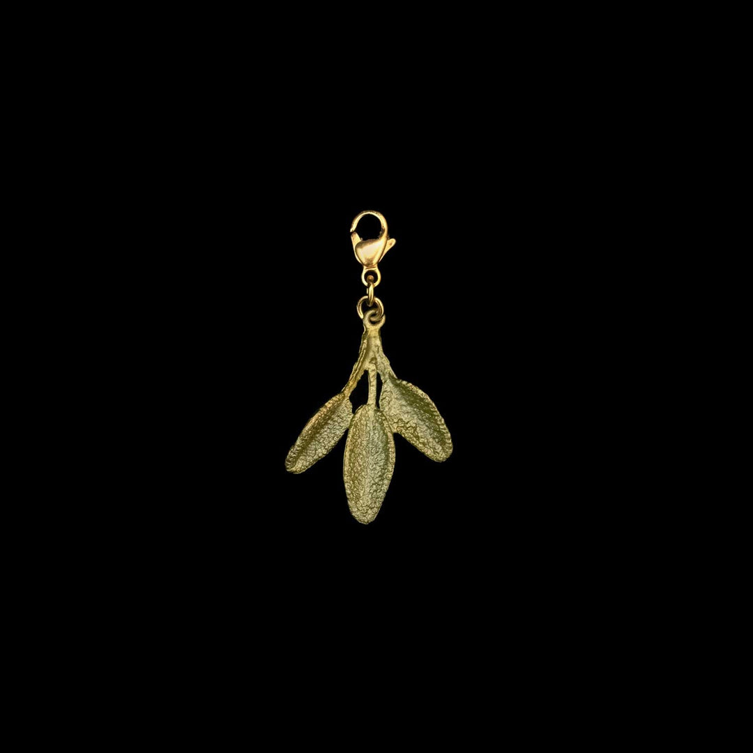 Salbei Charm