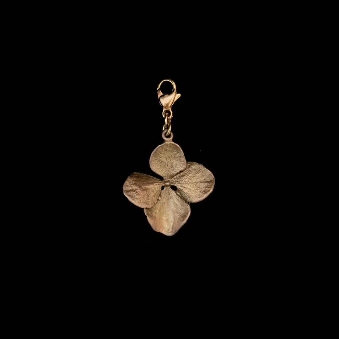 Hortensien Charm