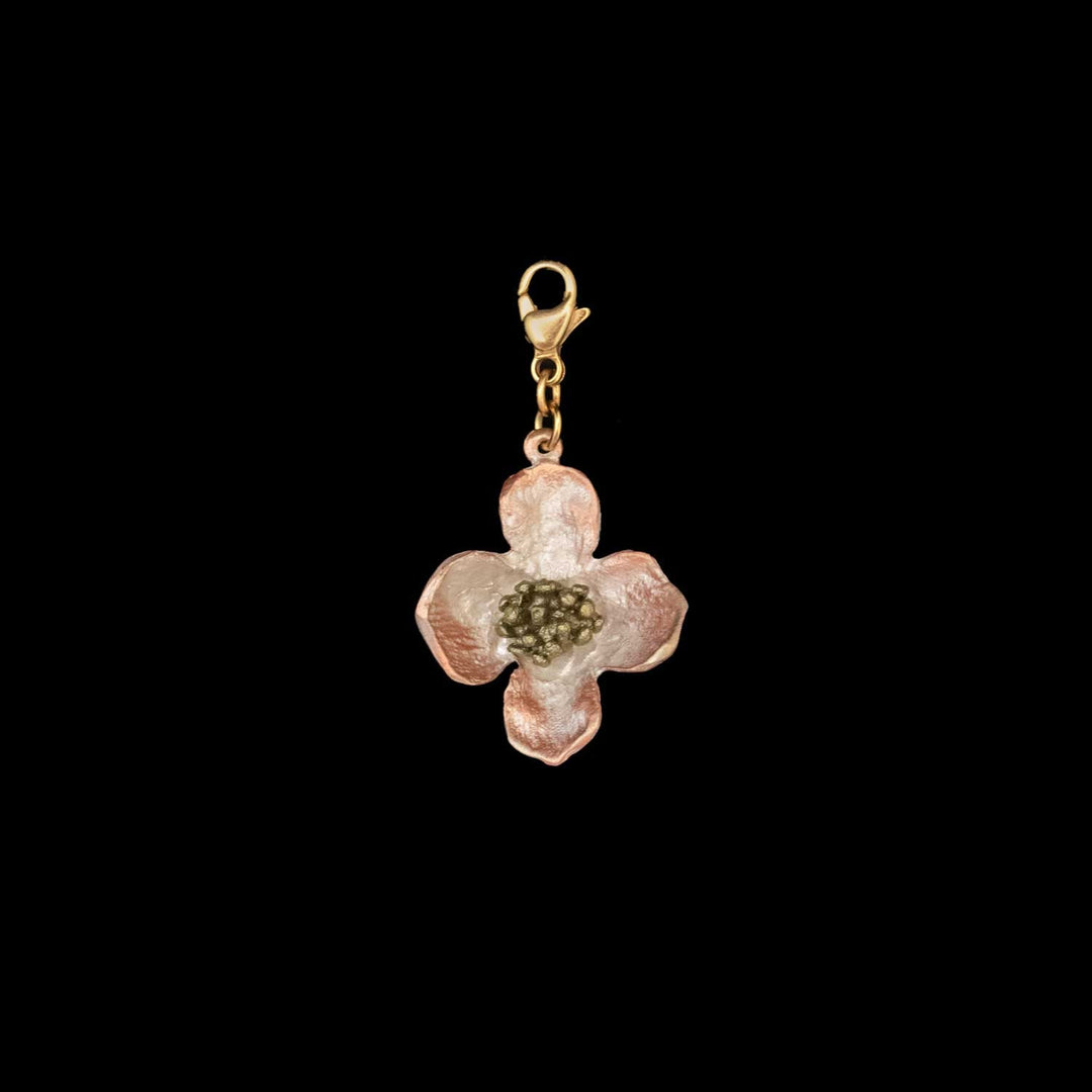 Hartriegel Charm