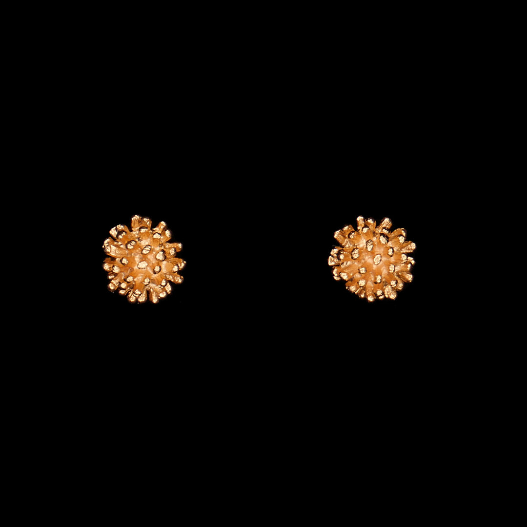 Napiergras - Ohrstecker Gold klein