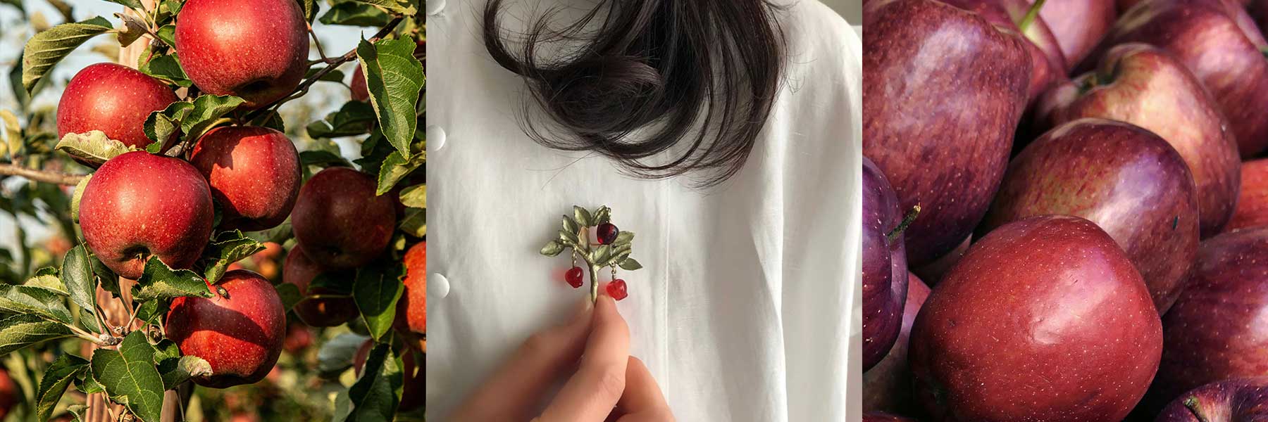 Red Delicious Apfelschmuck