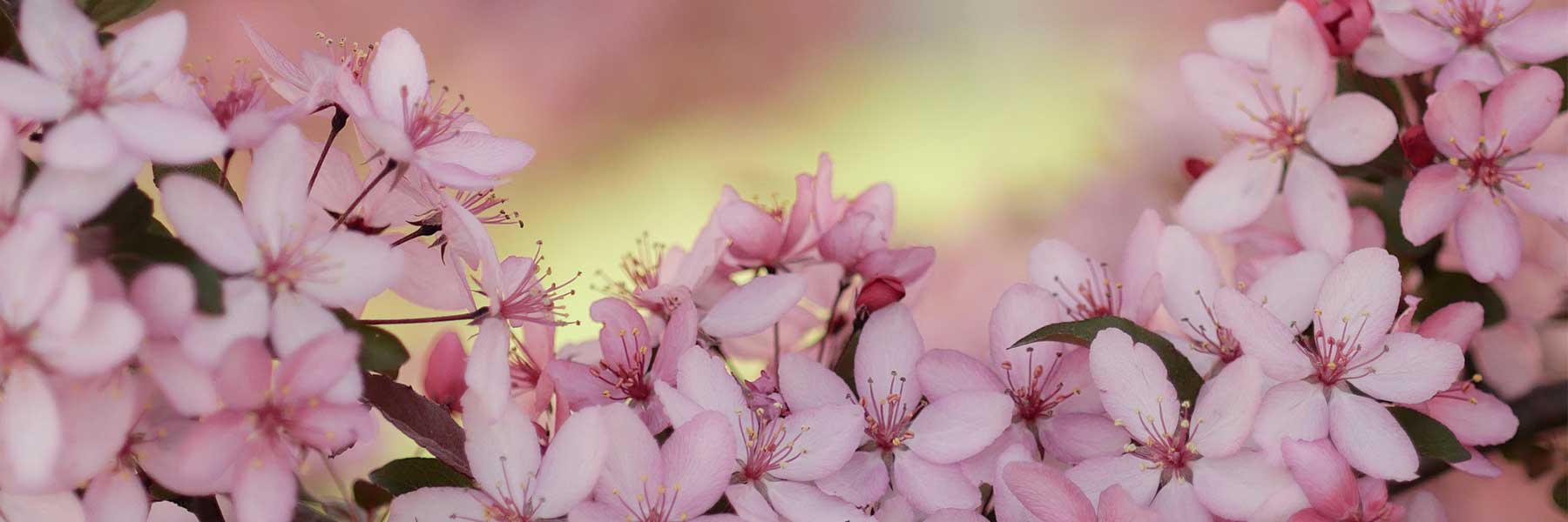 Schmuck für den Frühling