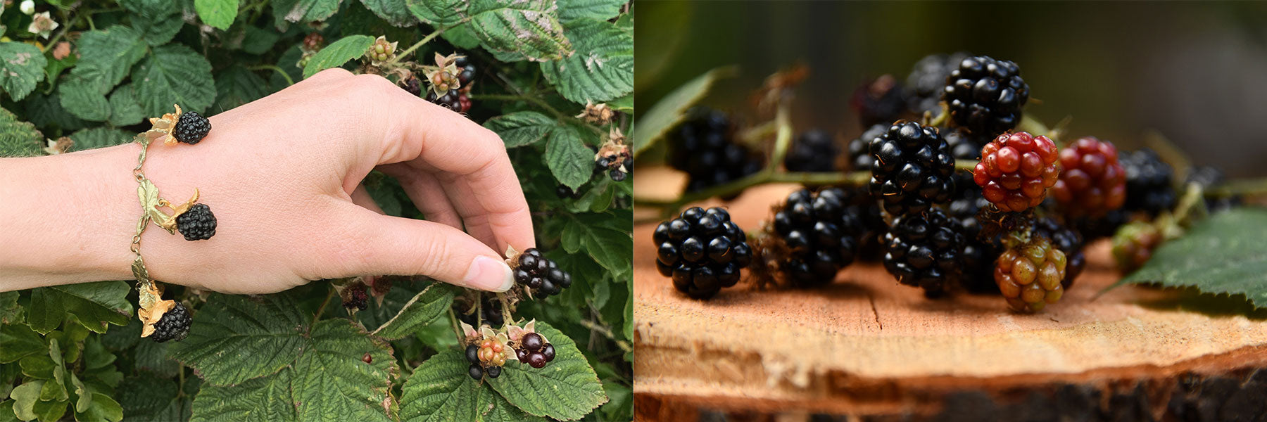 Brombeeren Schmuck