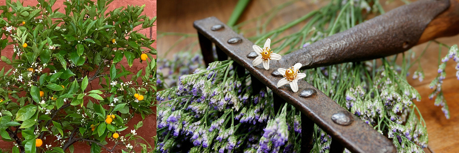 Orangenblüten Schmuck