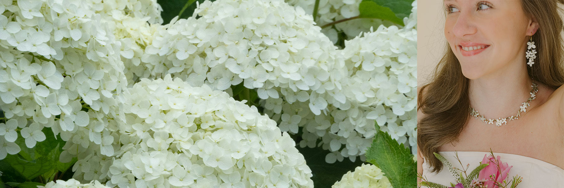 Weiße Hortensie